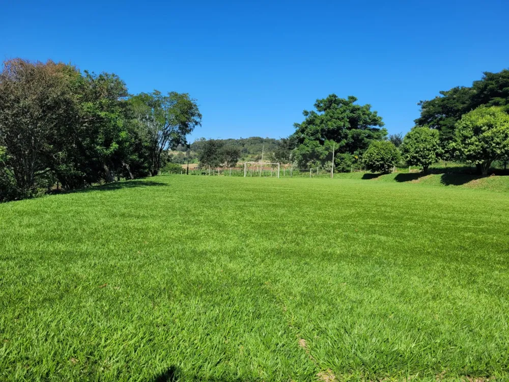Sítio, 6 hectares - Foto 11