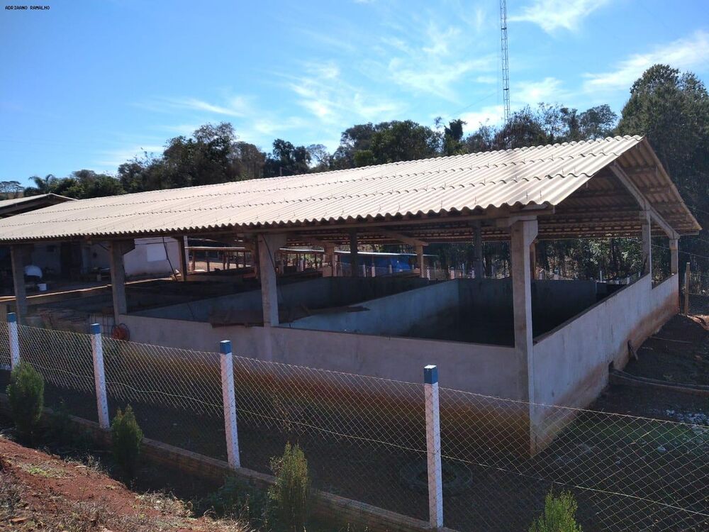 Chácara, 3 quartos, 2 hectares - Foto 15