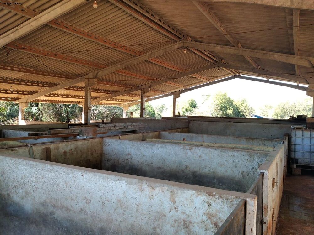 Chácara, 3 quartos, 2 hectares - Foto 6