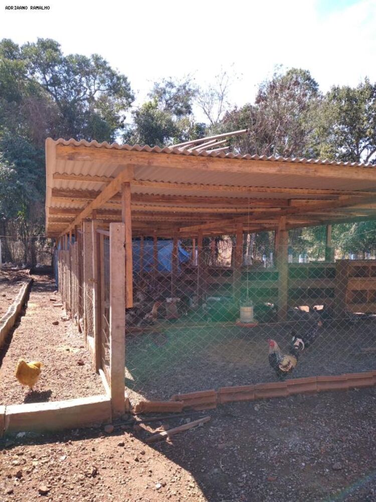 Chácara, 3 quartos, 2 hectares - Foto 9