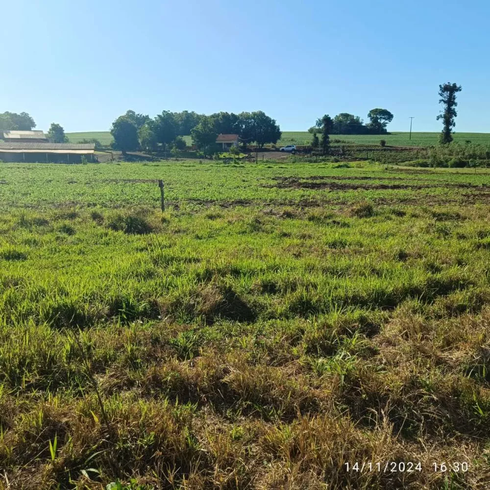 Sítio, 8 hectares - Foto 10