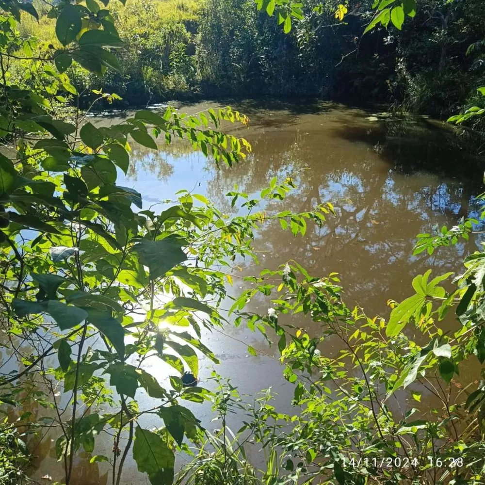 Sítio, 8 hectares - Foto 9