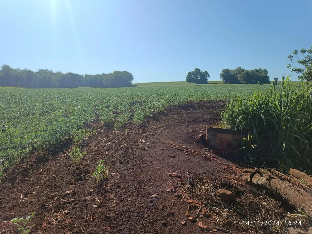 Sítio, 8 hectares - Foto 11