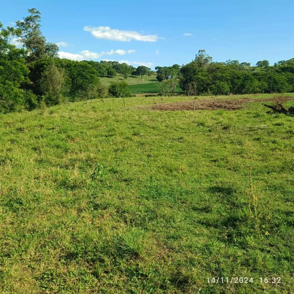 Sítio, 8 hectares - Foto 22
