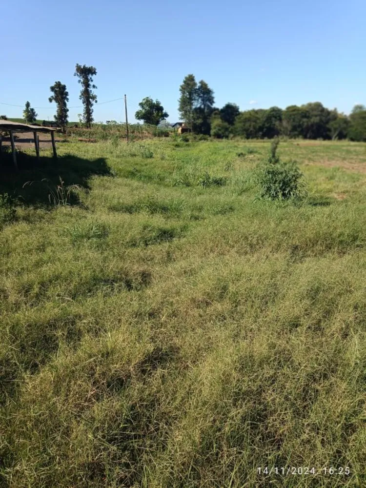 Sítio, 8 hectares - Foto 13
