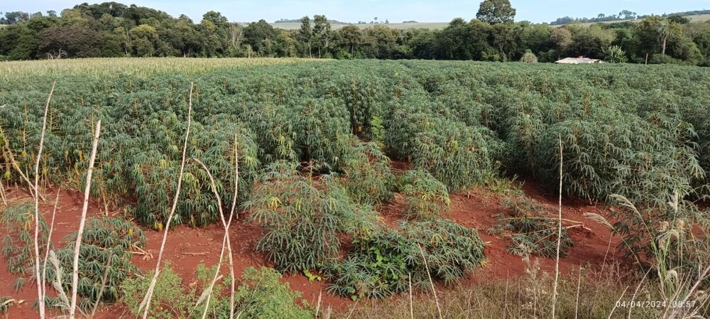 Chácara, 10000 m² - Foto 2