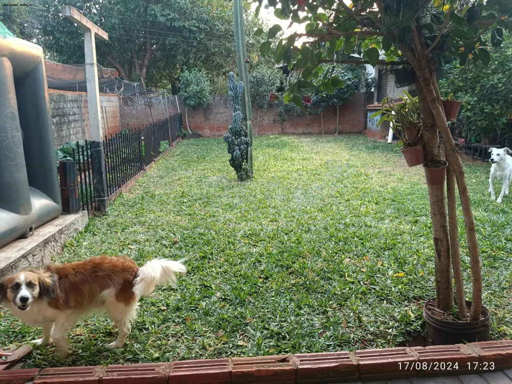 Casa, 4 quartos - Foto 7