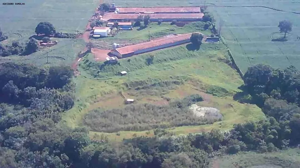 Terreno, 4 hectares - Foto 1