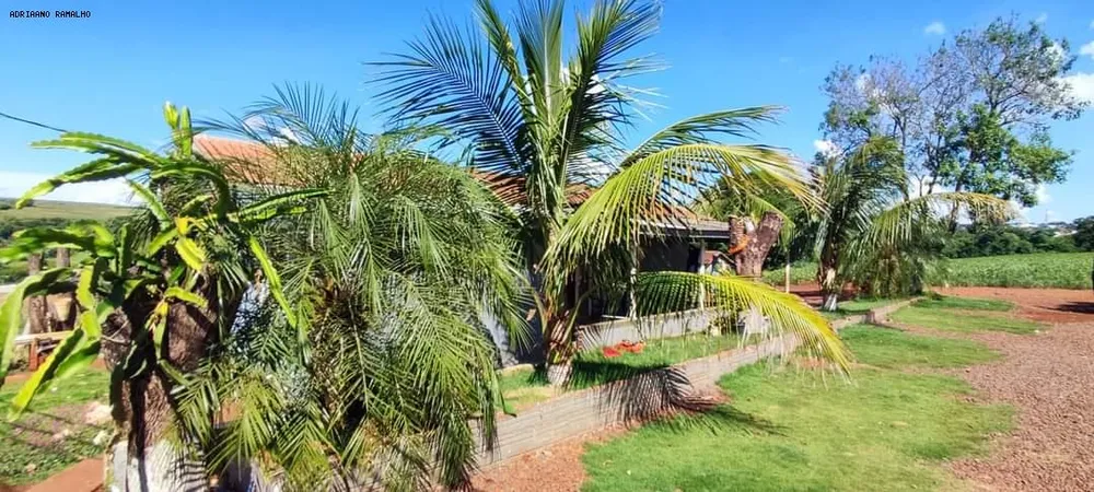 Terreno, 4 hectares - Foto 9