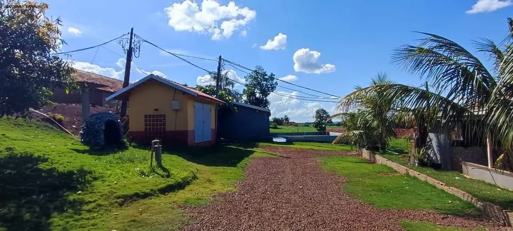 Terreno, 4 hectares - Foto 7
