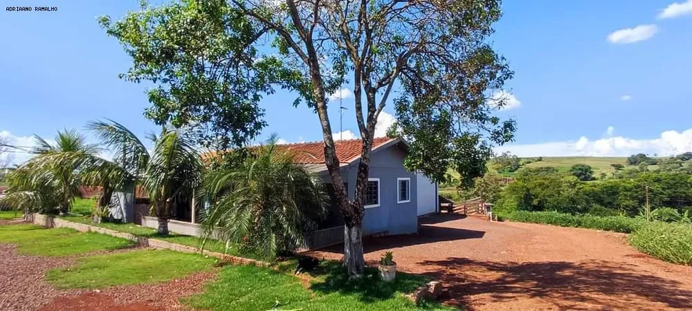 Terreno, 4 hectares - Foto 8