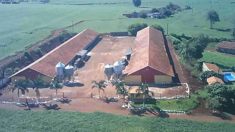 Terreno, 4 hectares - Foto 14