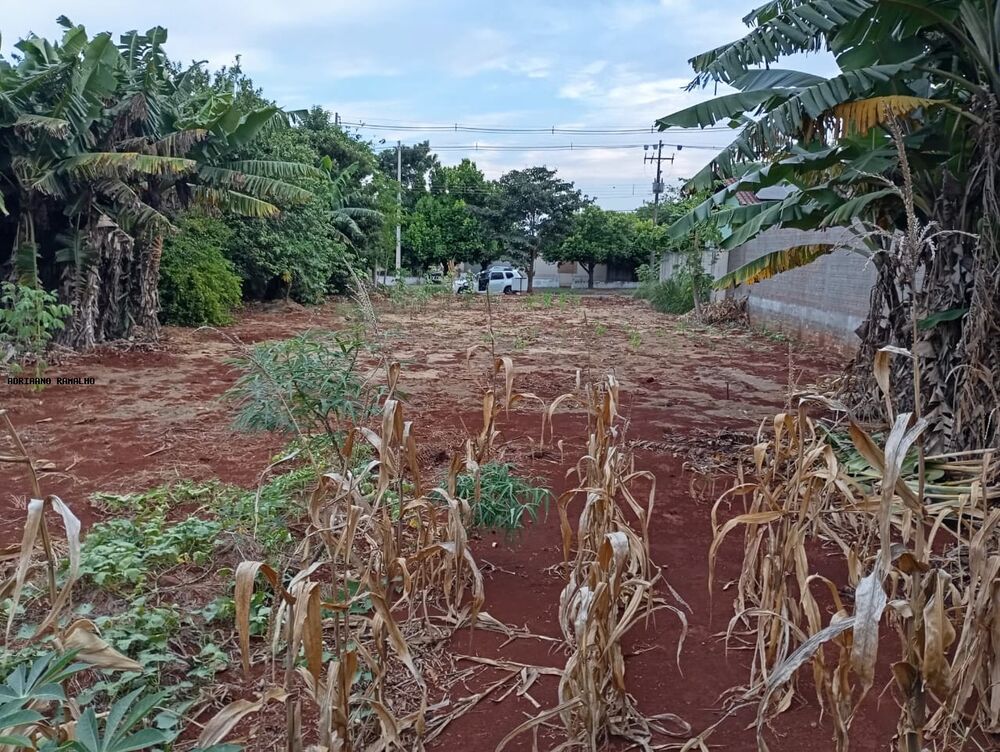 Terreno, 900 m² - Foto 6