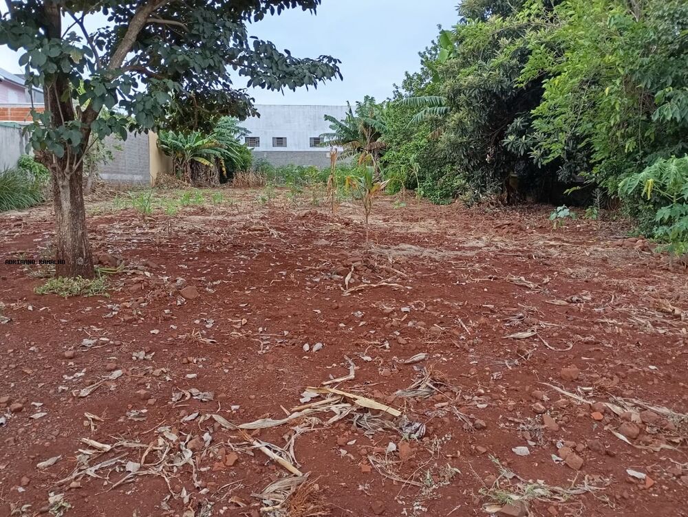 Terreno, 900 m² - Foto 3