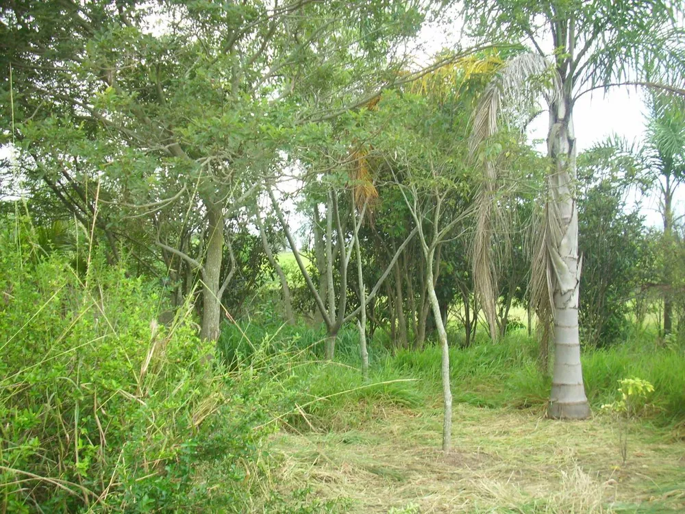 Chácara, 1 quarto, 1000 m² - Foto 11