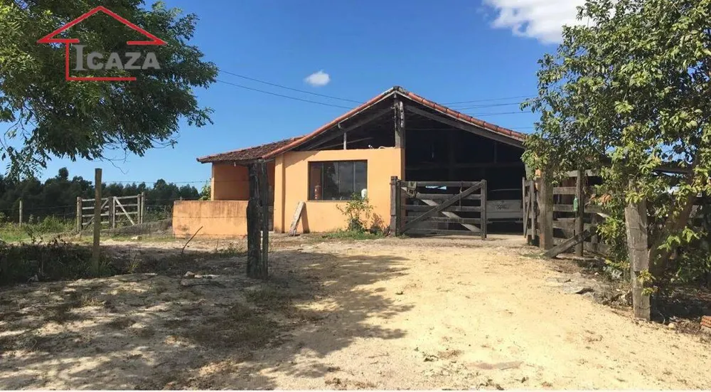 Terreno, 250 hectares - Foto 18