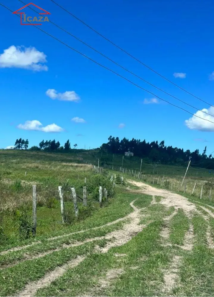 Terreno, 250 hectares - Foto 17