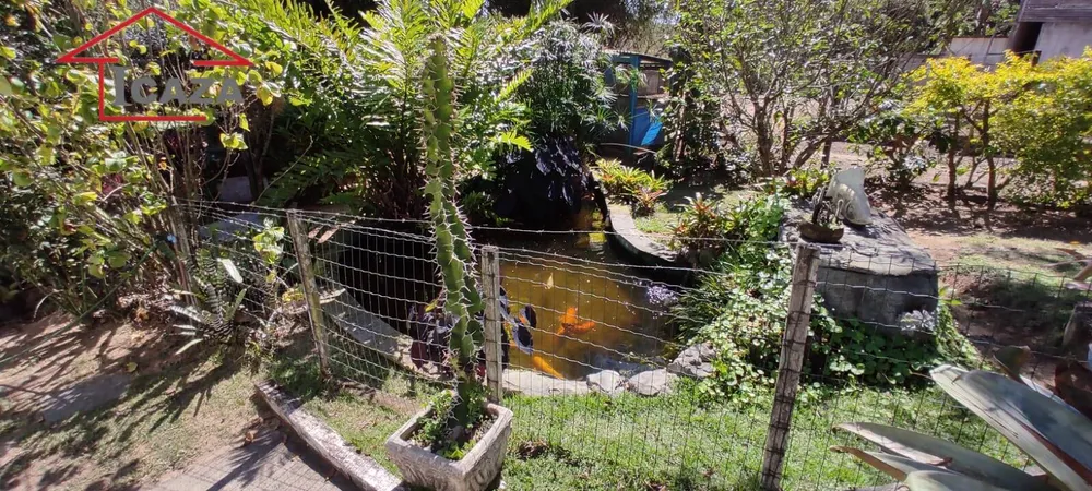 Terreno, 4 hectares - Foto 12