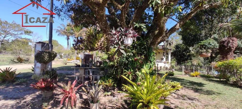 Terreno, 4 hectares - Foto 14