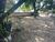 Terreno, 450 m² - Foto 1
