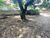 Terreno, 450 m² - Foto 2