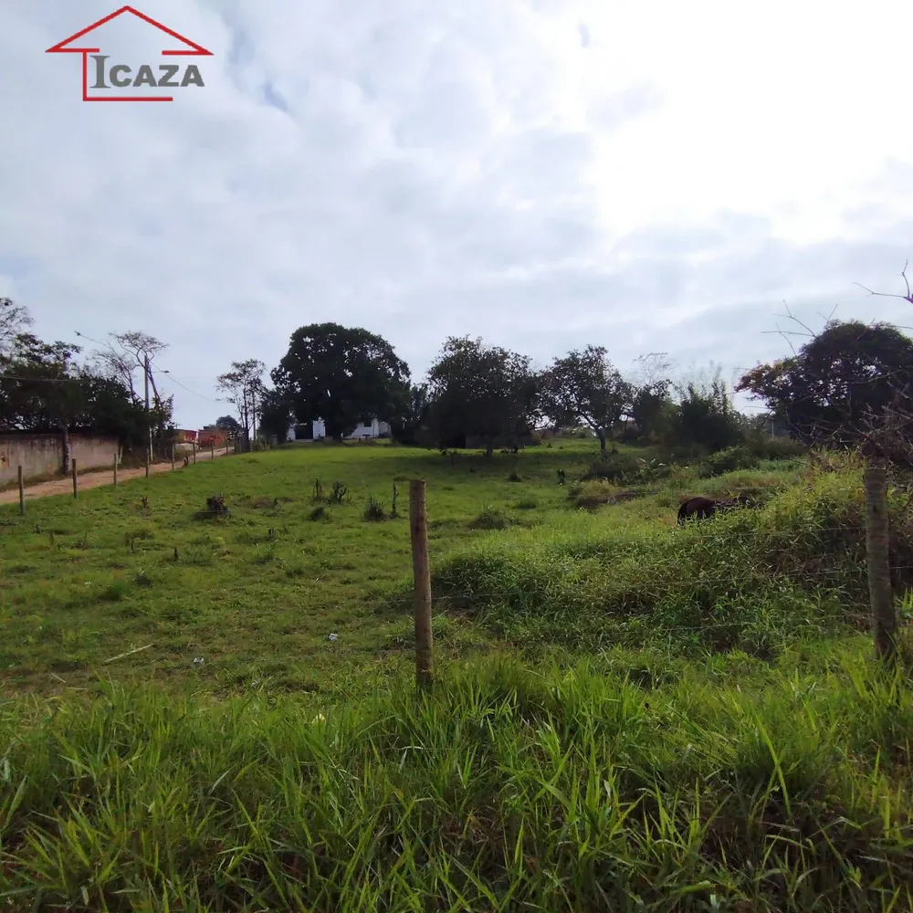 Sítio, 2 quartos, 5000 m² - Foto 5