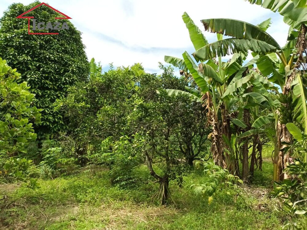 Chácara, 2 quartos, 3750 m² - Foto 8