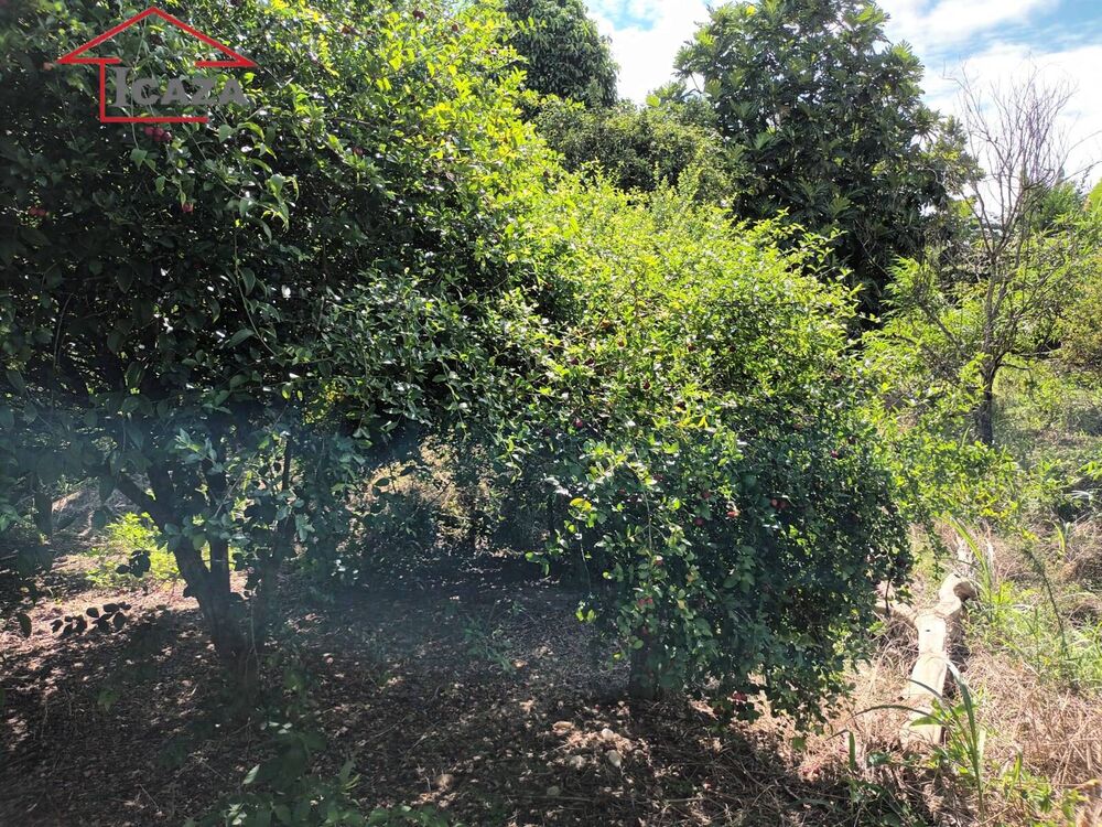 Chácara, 2 quartos, 3750 m² - Foto 12