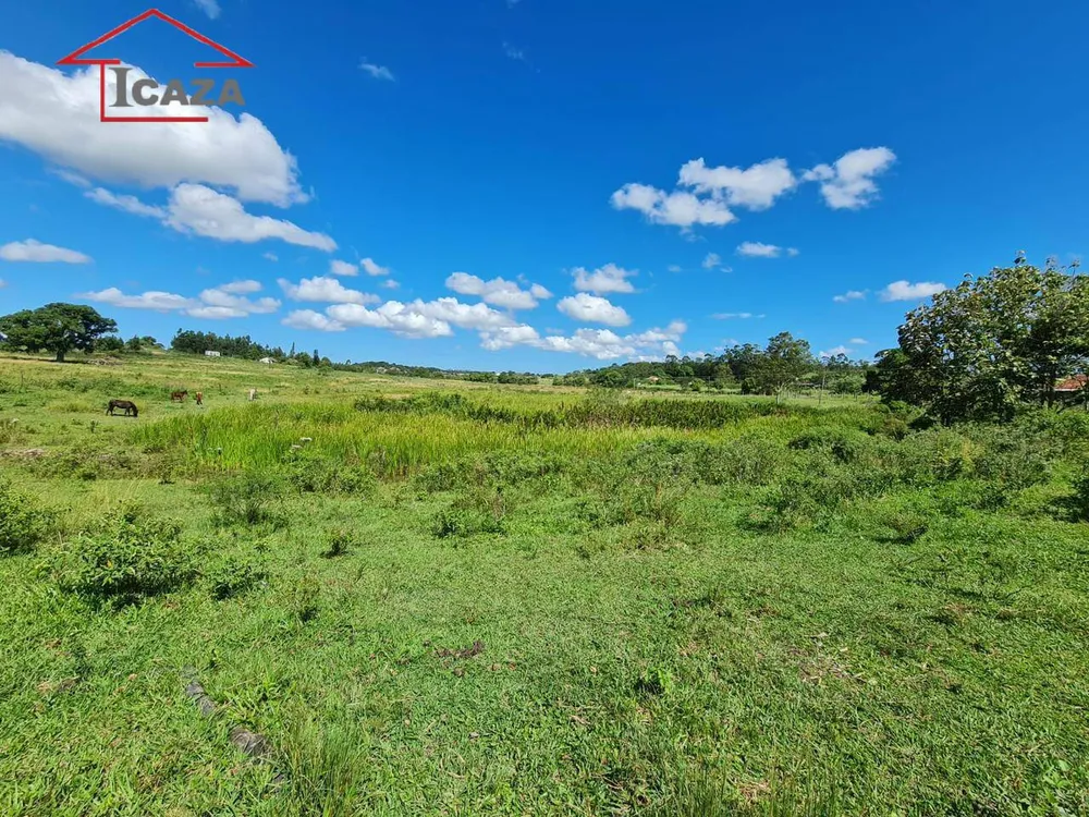 Terreno, 250 hectares - Foto 1