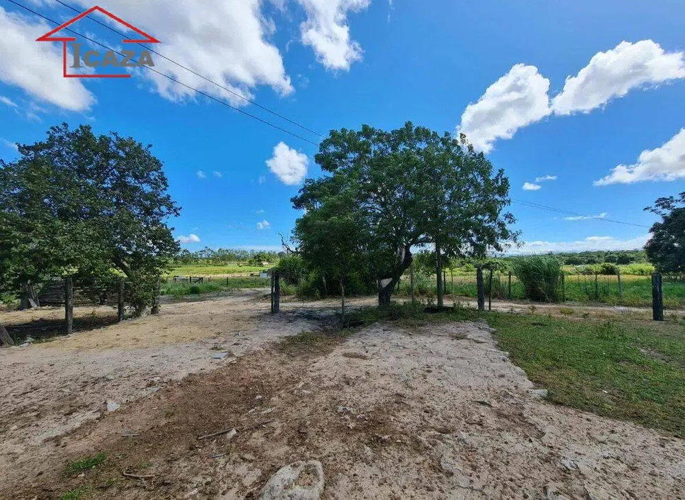 Terreno, 250 hectares - Foto 7