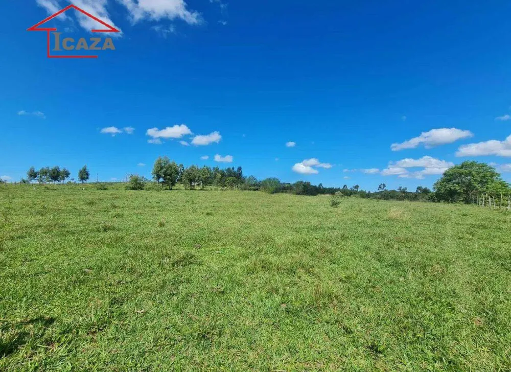 Terreno, 250 hectares - Foto 2