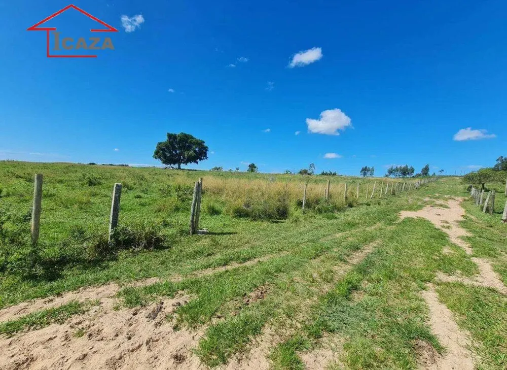 Terreno, 250 hectares - Foto 4