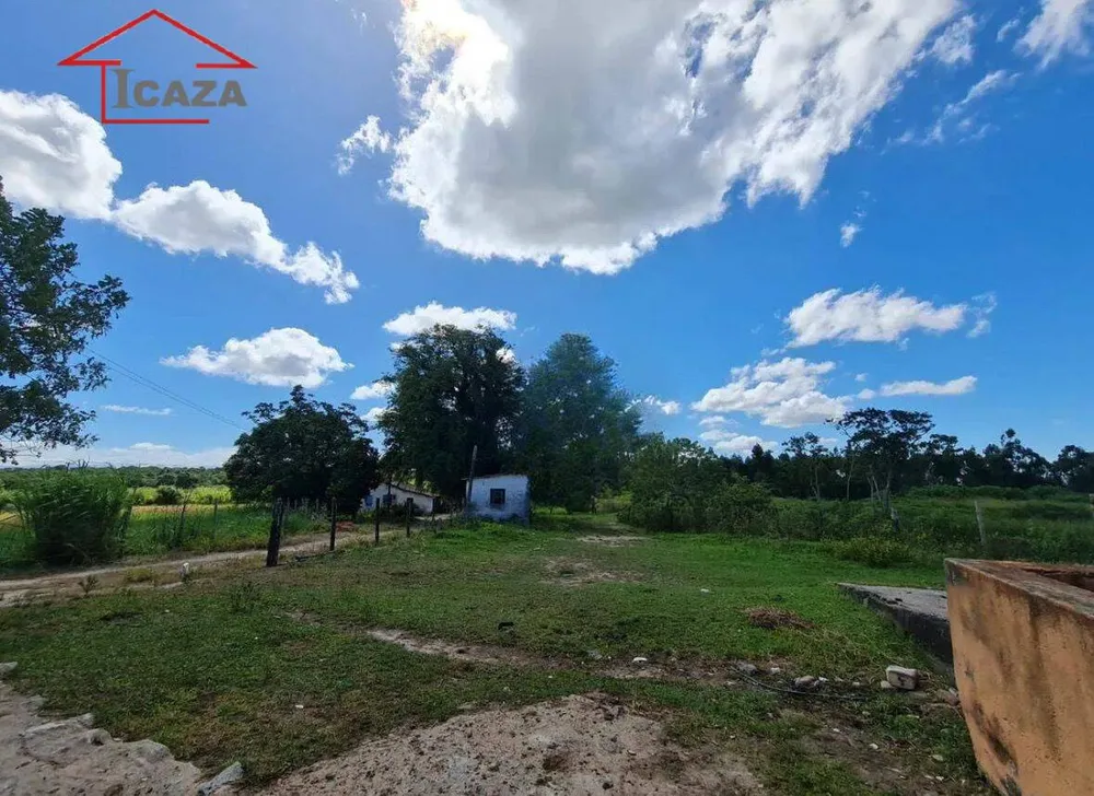 Terreno, 250 hectares - Foto 6