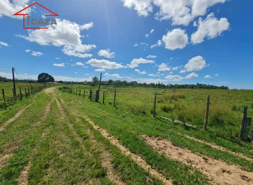 Terreno, 250 hectares - Foto 12