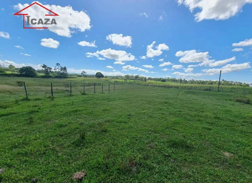 Terreno, 250 hectares - Foto 3