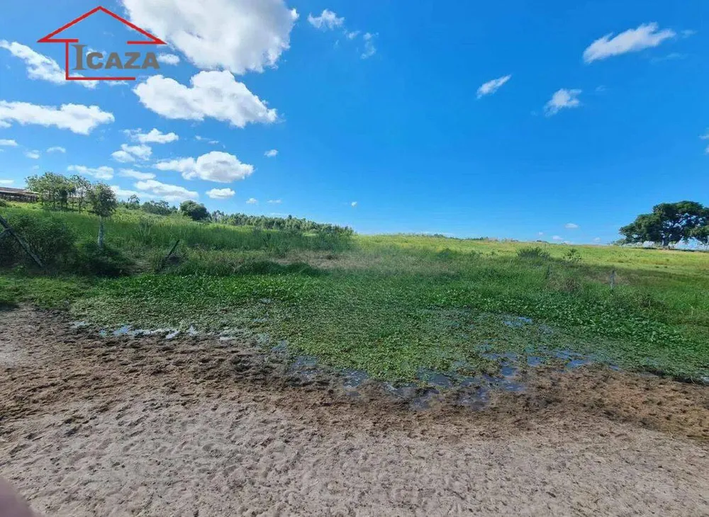 Terreno, 250 hectares - Foto 11