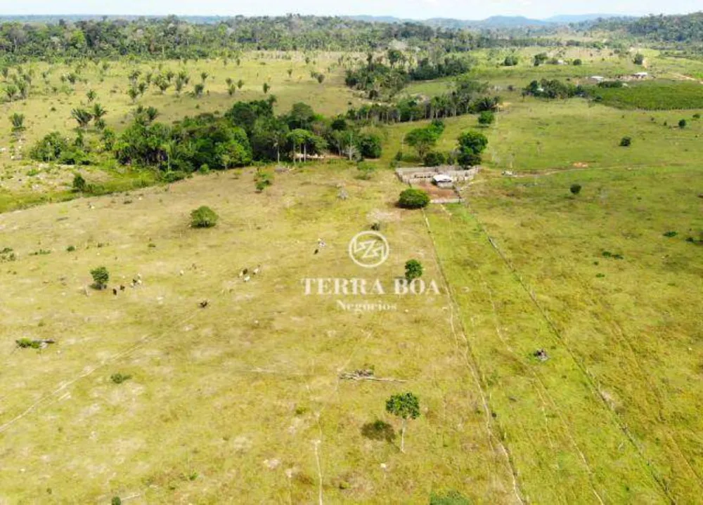 Sítio, 102 hectares - Foto 8