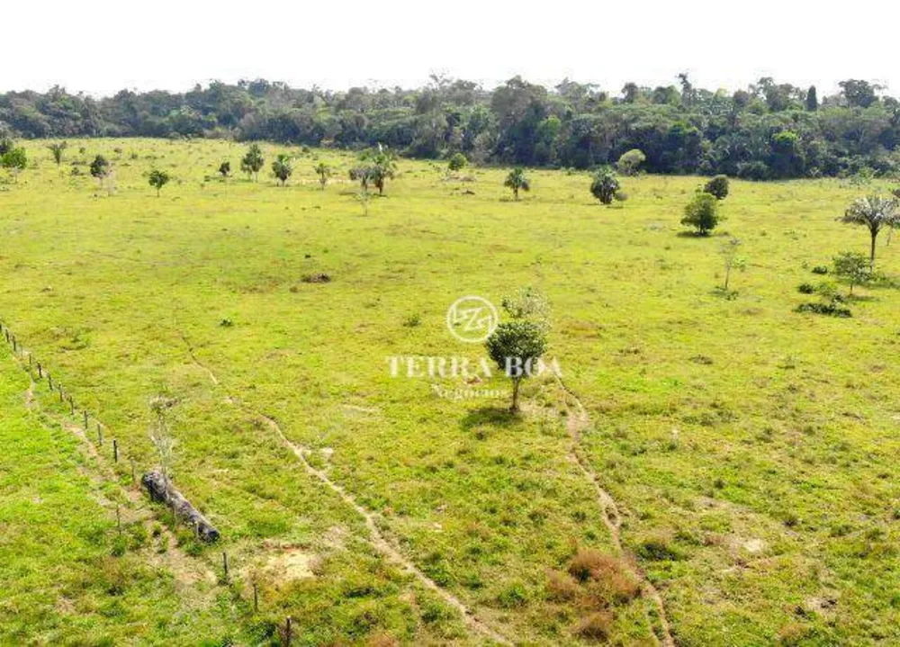 Sítio, 102 hectares - Foto 13