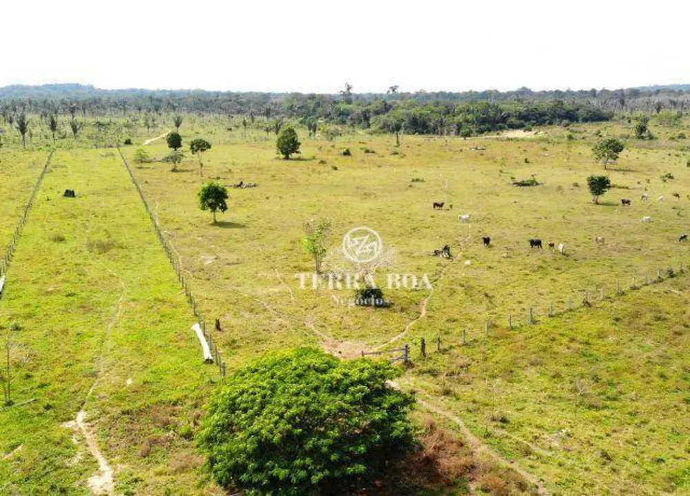 Sítio, 102 hectares - Foto 14