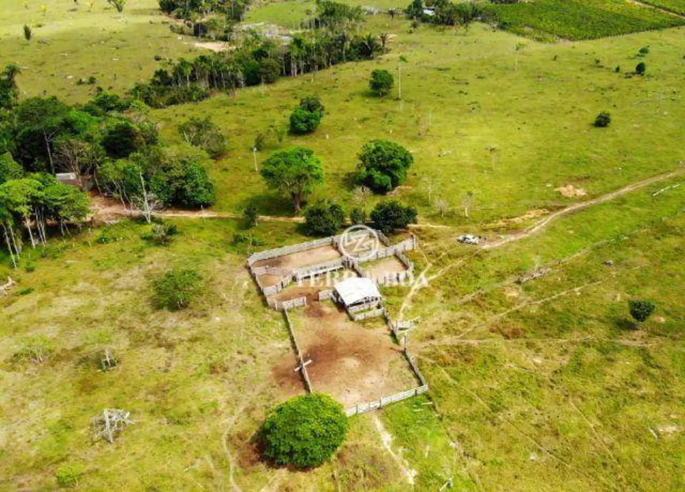 Sítio, 102 hectares - Foto 9