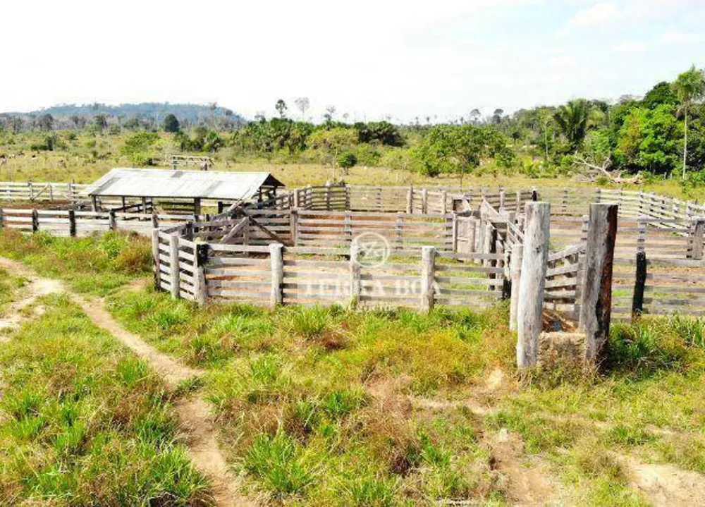 Sítio, 102 hectares - Foto 17