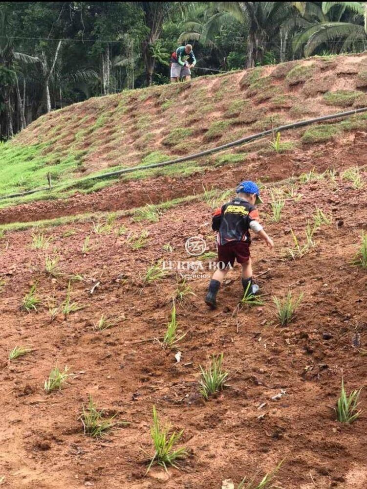 Chácara, 1 hectares - Foto 17