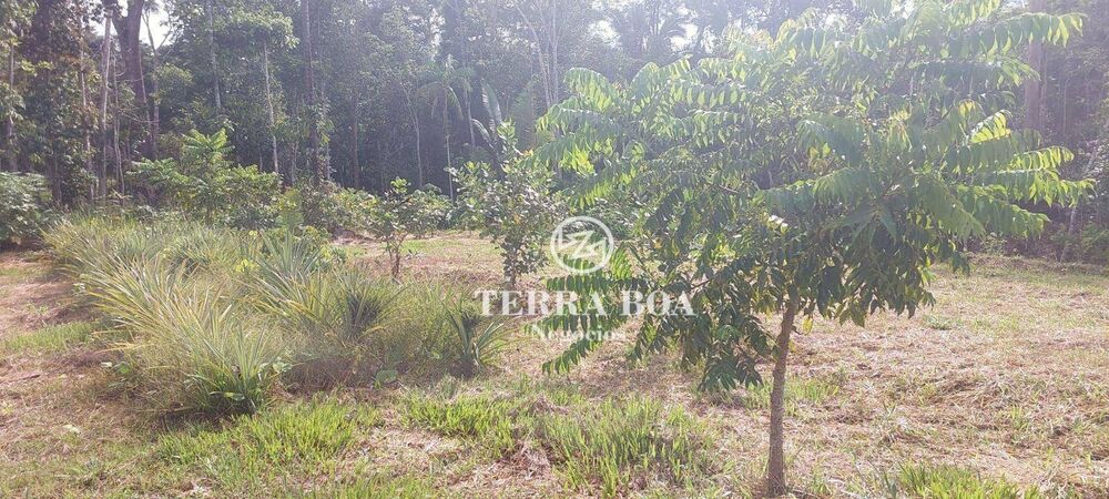 Chácara, 1 hectares - Foto 12