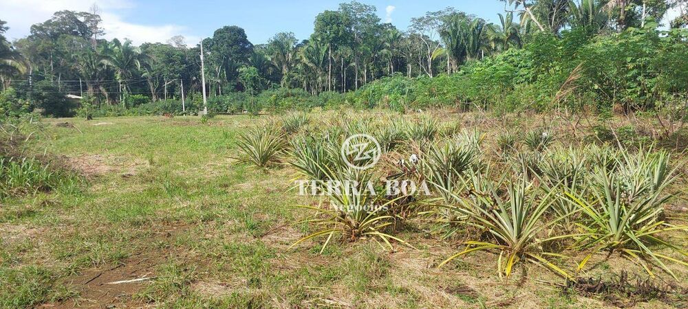 Chácara, 1 hectares - Foto 10