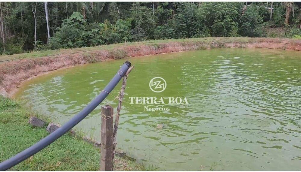 Chácara, 1 hectares - Foto 13