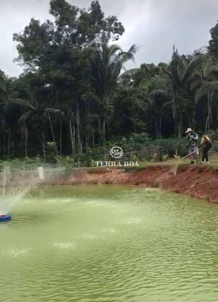 Chácara, 1 hectares - Foto 16