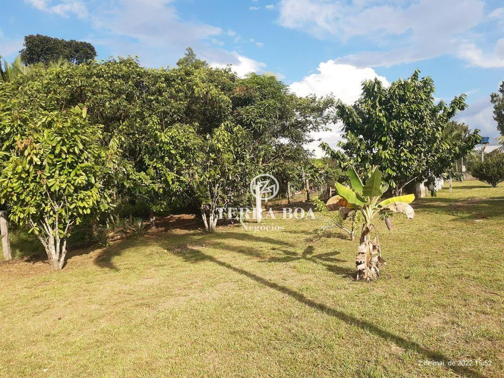 Sítio, 6 hectares - Foto 15