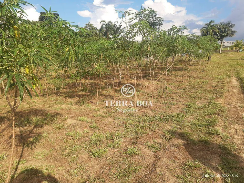 Sítio, 6 hectares - Foto 19