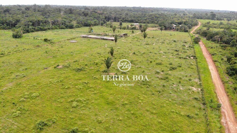 Sítio, 100 hectares - Foto 5