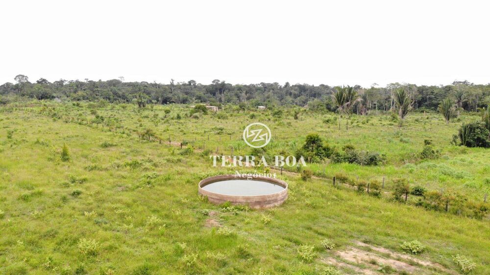 Sítio, 100 hectares - Foto 3